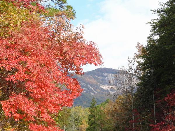A little day trip to the SC upstate in our '07-caesars-head-002.jpg