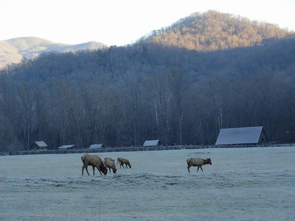 Great Smoky National Park in GT/CS-pigeon-forge-xmas-003.jpg