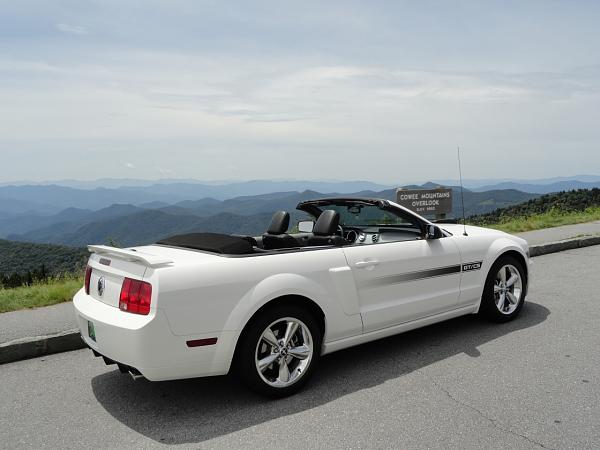 Your Mustang with Scenery-brp.jpg