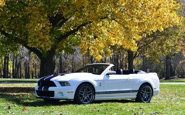 Your Mustang with Scenery-dsc0237kc.jpg