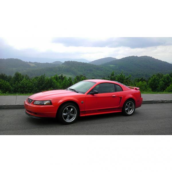 Your Mustang with Scenery-photo-8-.jpg