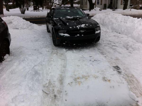 Your Mustang with Scenery-1622598_10203392550042572_826090439_n.jpg