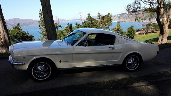 Your Mustang with Scenery-20140216_141427_resized.jpg