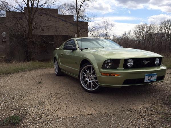 Your Mustang with Scenery-image.jpg