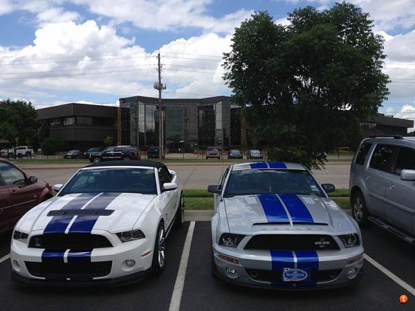 Your Mustang with Scenery-image-4222602836.jpg