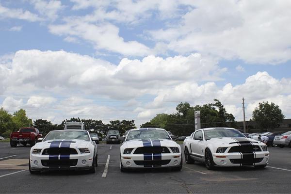 Your Mustang with Scenery-image-123200693.jpg