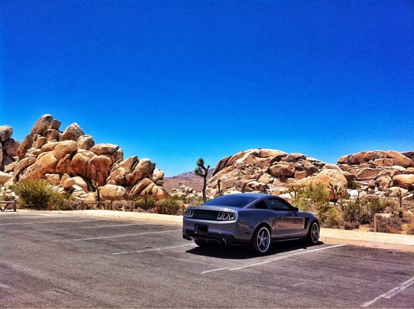 Your Mustang with Scenery-image-1622070020.jpg