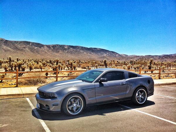 Your Mustang with Scenery-image-1528421750.jpg