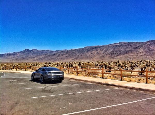 Your Mustang with Scenery-image-2083325248.jpg