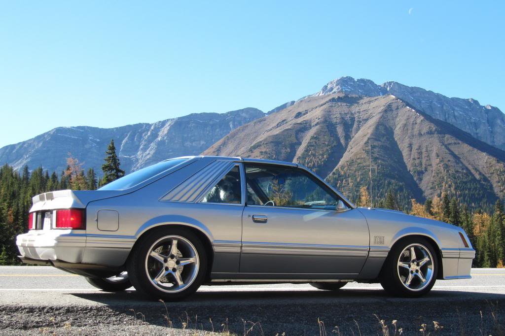 Name:  IMG_0479_zps17c106e2.jpg
Views: 134
Size:  94.1 KB