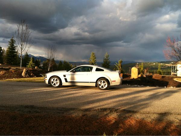 What did you do with your Mustang today?-image-480623535.jpg