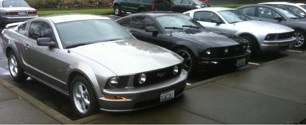 What did you do with your Mustang today?-image-3222595467.jpg