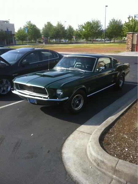 What did you do with your Mustang today?-image-2041289548.jpg