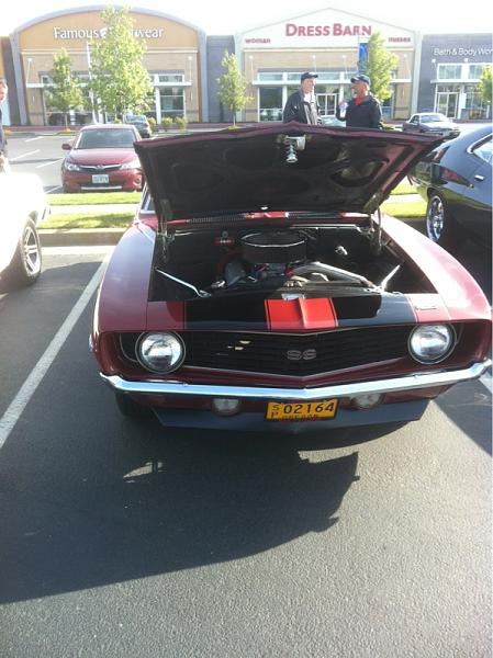 What did you do with your Mustang today?-image-376564917.jpg