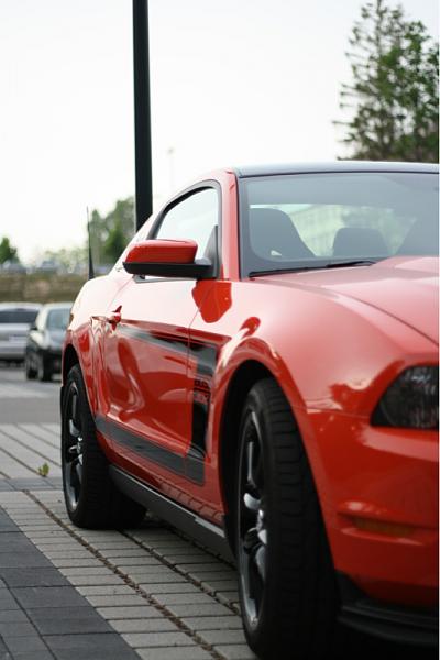 What did you do with your Mustang today?-image-252029373.jpg