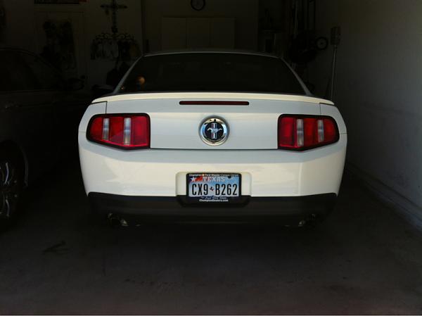 What did you do with your Mustang today?-image-792691237.jpg