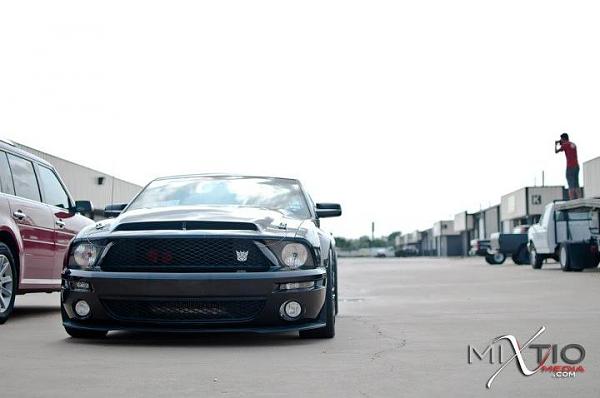What did you do with your Mustang today?-image-1825543027.jpg