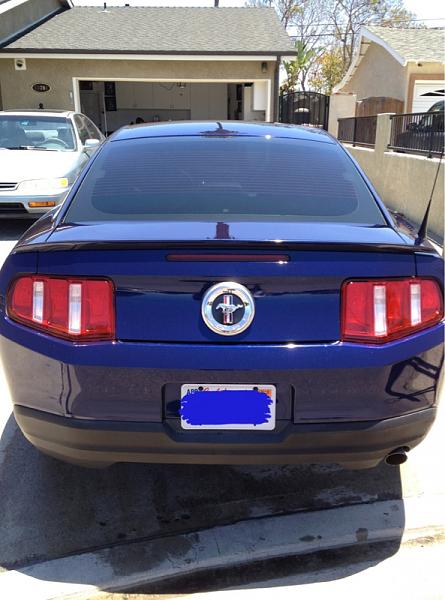 What did you do with your Mustang today?-image-2870734151.jpg