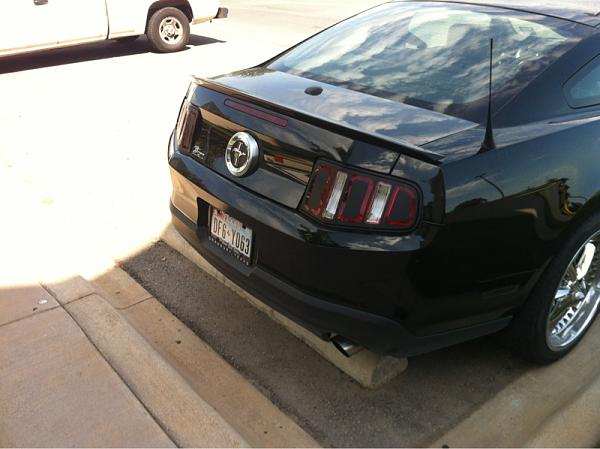 What did you do with your Mustang today?-image-3923795461.jpg