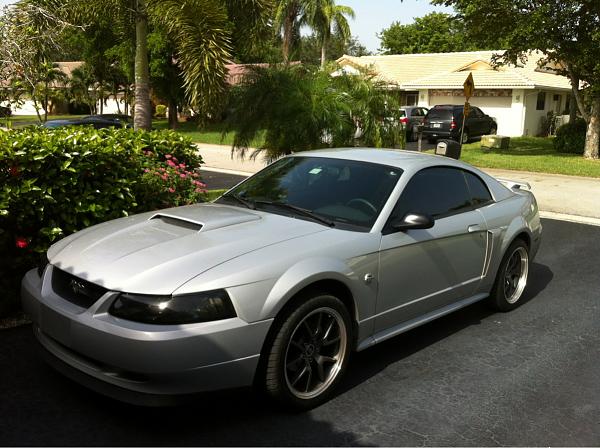 What did you do with your Mustang today?-image-2329639398.jpg