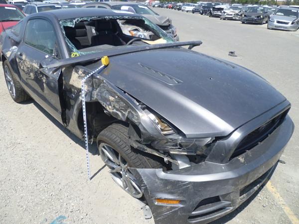 What did you do with your Mustang today?-securedownload.jpg