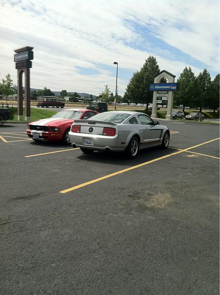 What did you do with your Mustang today?-image-70887442.jpg