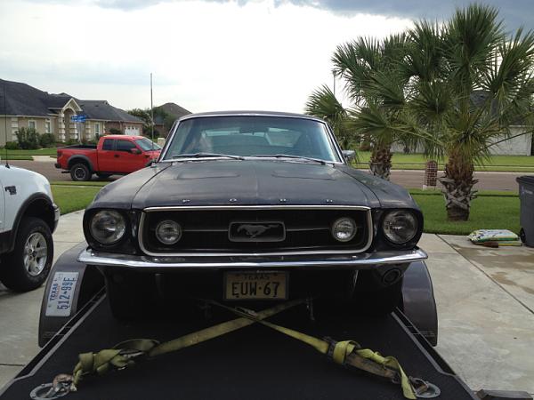 Mustangs Coast to Coast-image-1800908109.jpg