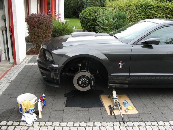 What did you do with your Mustang today?-img_0257.jpg