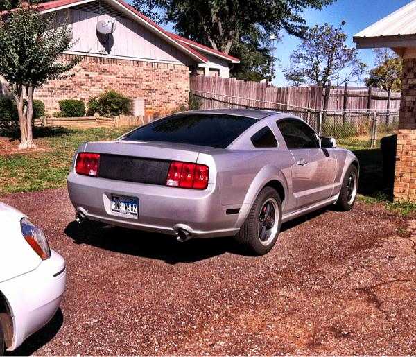 What did you do with your Mustang today?-image-1237240082.jpg