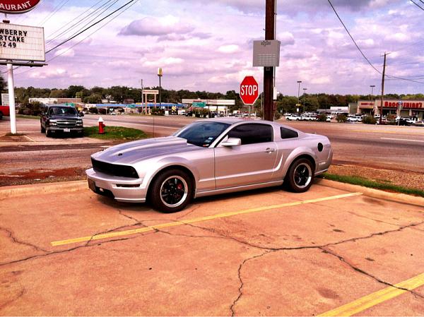 What did you do with your Mustang today?-image-2327563898.jpg
