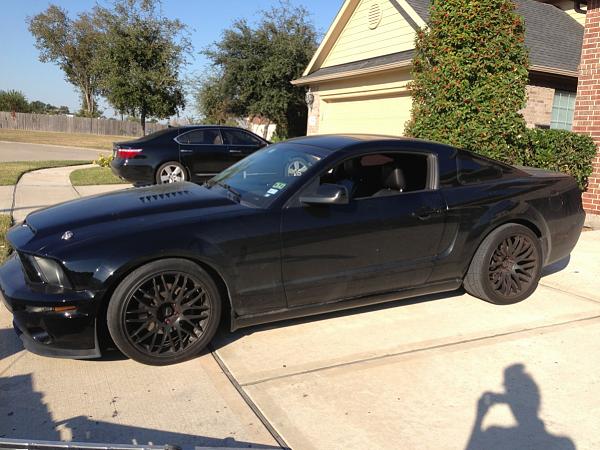 What did you do with your Mustang today?-image-1523018350.jpg