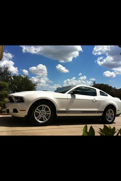 What did you do with your Mustang today?-image-723029813.jpg