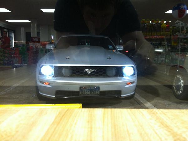 What did you do with your Mustang today?-image-1069711249.jpg