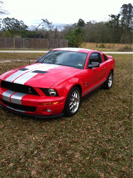 What did you do with your Mustang today?-image-4073486524.jpg