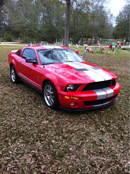 What did you do with your Mustang today?-image-2808497810.jpg