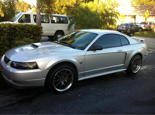 What did you do with your Mustang today?-image-3358404897.jpg