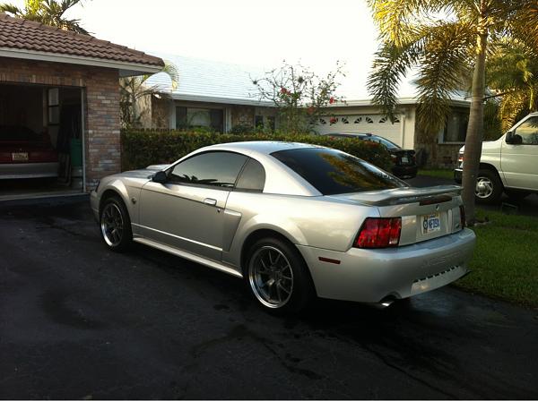 What did you do with your Mustang today?-image-3323083858.jpg