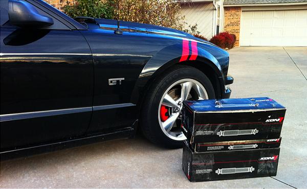 What did you do with your Mustang today?-image-3680398002.jpg