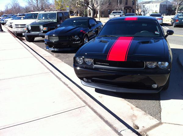 What did you do with your Mustang today?-image-850339829.jpg