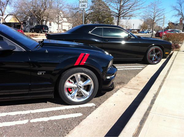 What did you do with your Mustang today?-image-1778477974.jpg