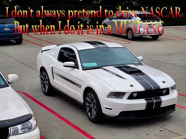 What did you do with your Mustang today?-nascar.jpg