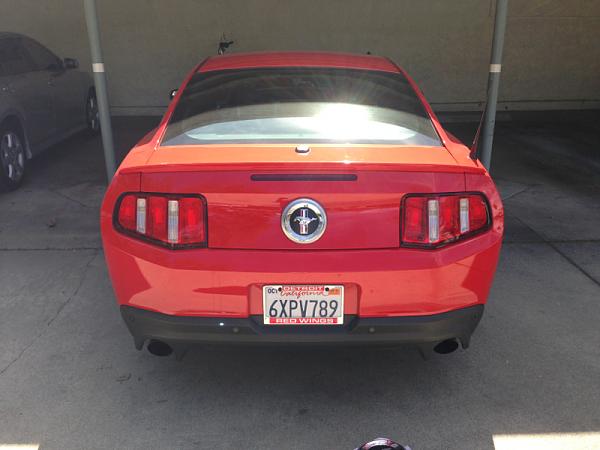 What did you do with your Mustang today?-image-3453882438.jpg