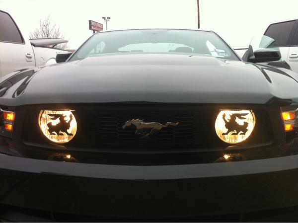What did you do with your Mustang today?-image-2281196550.jpg