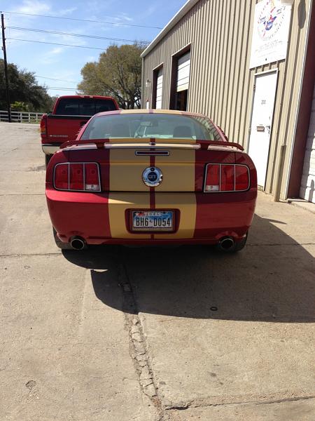 What did you do with your Mustang today?-image-2288629976.jpg