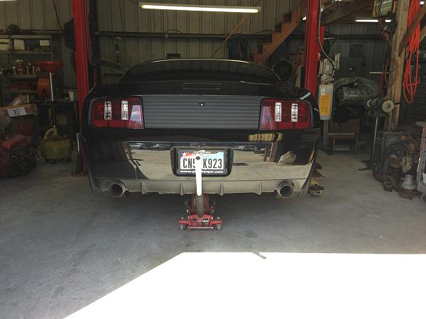 What did you do with your Mustang today?-image-2448684849.jpg