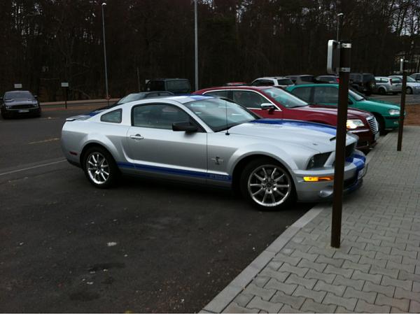 Mustangs Coast to Coast-image-2761619007.jpg