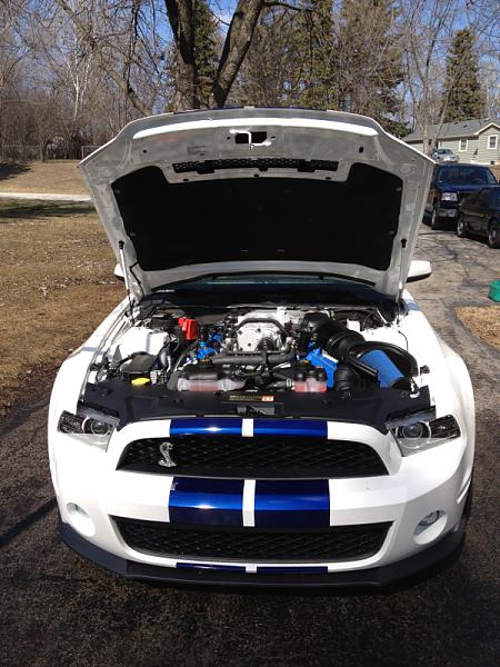 What did you do with your Mustang today?-image-4041389269.jpg