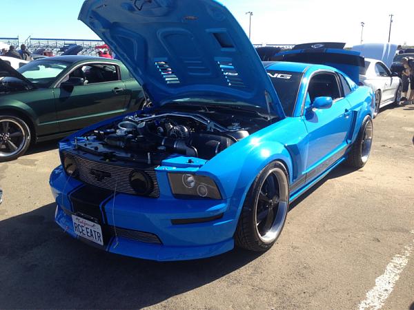 What did you do with your Mustang today?-image-657003471.jpg