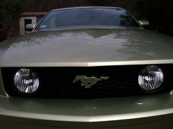 What did you do with your Mustang today?-img_0287-2-.jpg