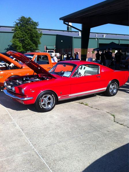 Mustangs Coast to Coast-image-950729248.jpg